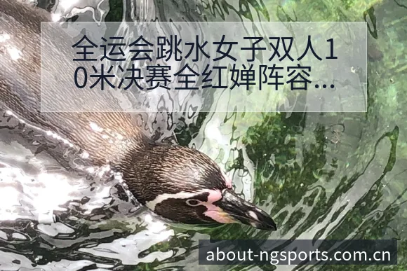全运会跳水女子双人10米决赛全红婵阵容调整与签表分析 - NG体育